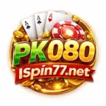 PK080 Game
